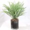 Mini Eucalyptus Grass Bush | 20-Inch | UV Resistant | Indoor/Outdoor Use | Modern Accents | Faux Greenery | Party & Event | Patio & Garden | Home & Office Decor